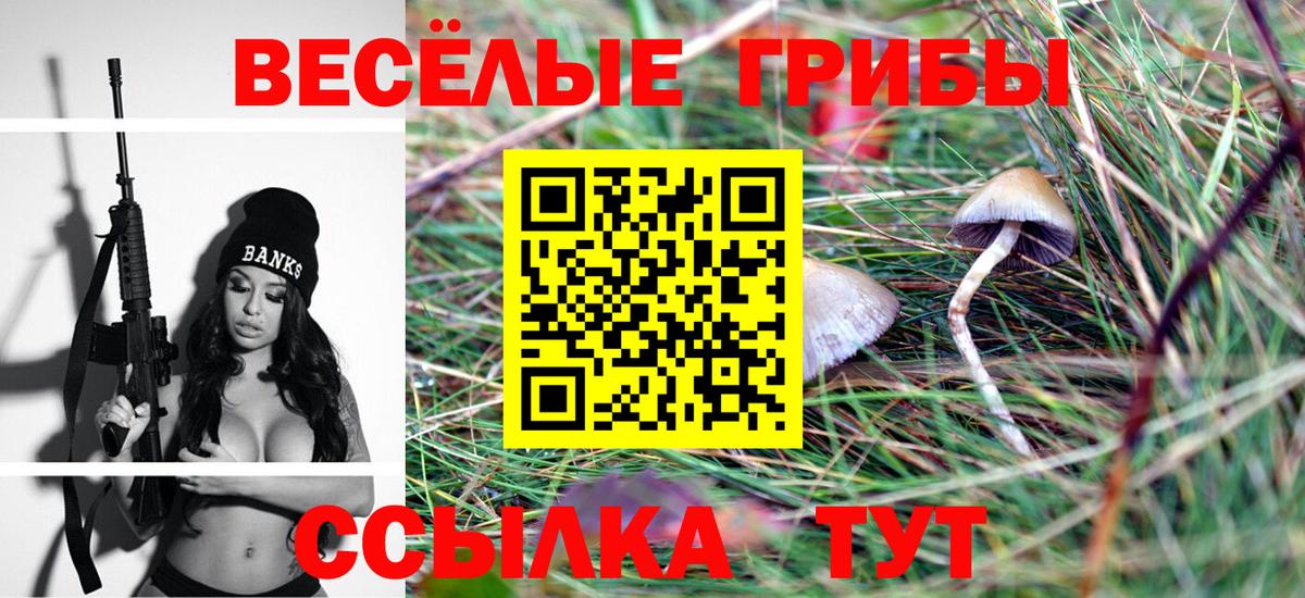 Псилоцибиновые грибы мухоморы Наро-Фоминск