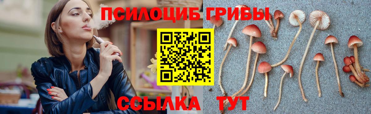 Псилоцибиновые грибы Magic Shrooms  Вход с VPN  Наро-Фоминск 